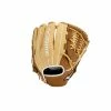 Mizuno Franchise Series Pitcher/Outfield Baseball Glove 12.0" (Throw Right)